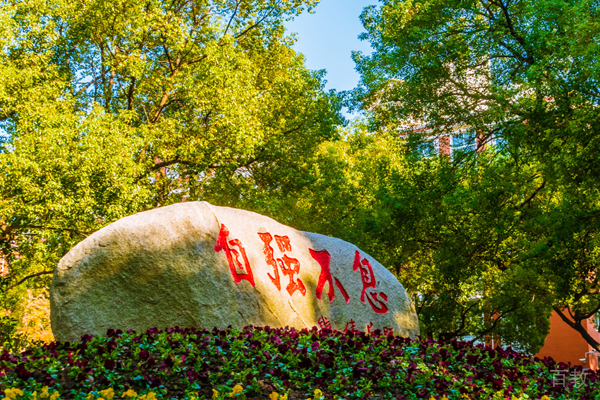 学校石头相册