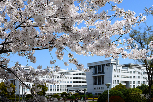 教学区环境