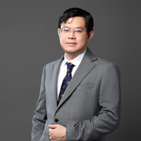 张自力教授