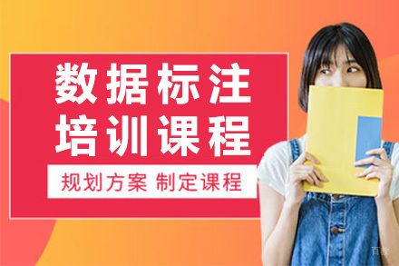 上海数据标注培训课程