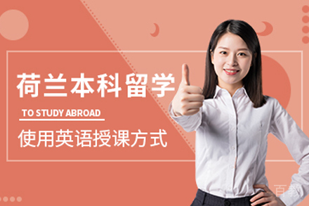 荷兰本科留学申请项目