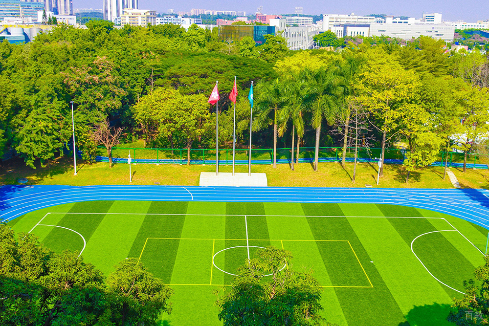 学校操场俯视环境图片