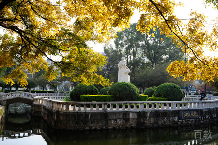 学校环境4