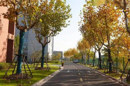 学校外景
