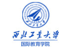 西北工业大学国际教育