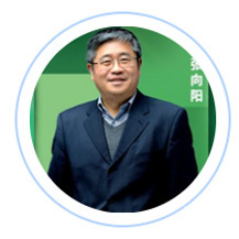 张向阳