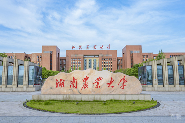 学校大门