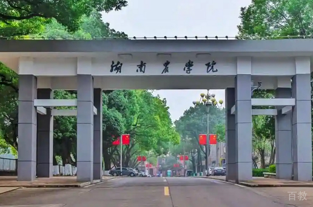 校园环境