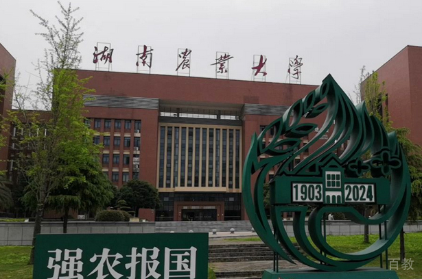 校园相册