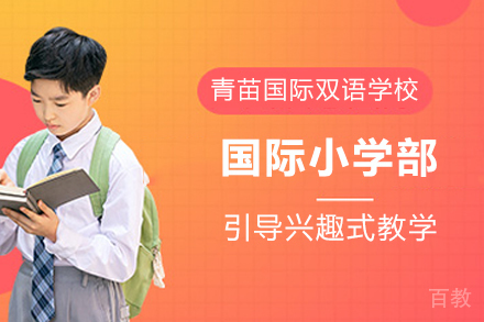 昆明国际小学部招生简章