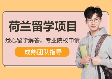 沈阳荷兰留学项目