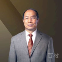金一南