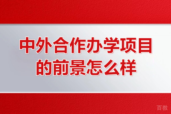 青岛大学中外合作办学项目的前景怎么样 