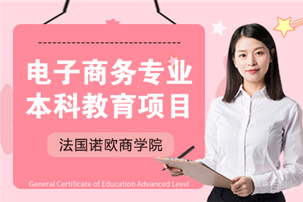 法国诺欧商学院电子商务专业本科教育项目