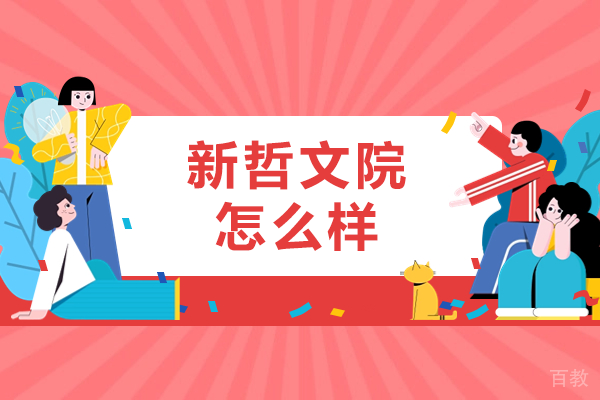 深圳新哲文院怎么样 