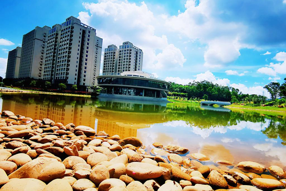 学校环境一角图片