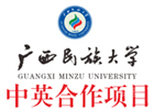 广西民族大学中英国际本科项目