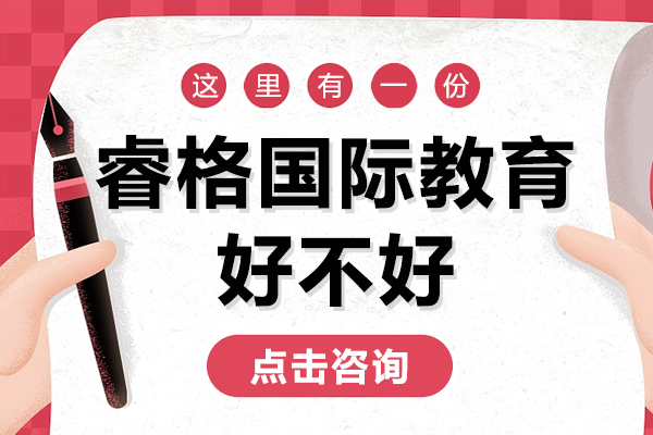 上海睿格国际教育好不好 
