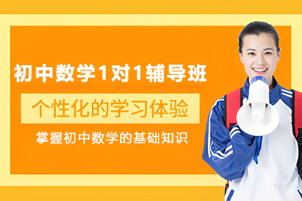 天津初中数学1对1在线辅导班