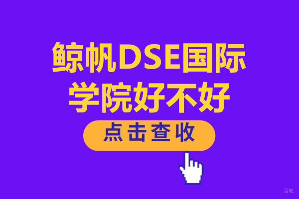 深圳鲸帆DSE国际学院好不好 
