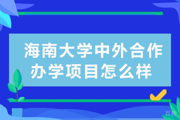 海南大学中外合作办学项目怎么样 