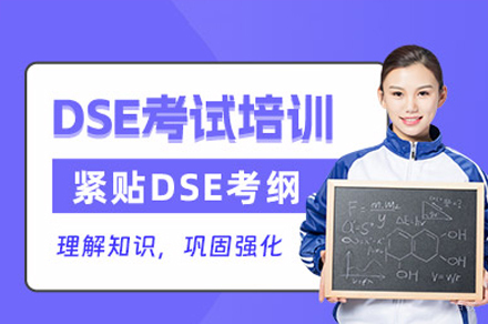 广州DSE培训课程