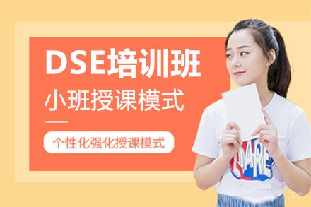 DSE培训班