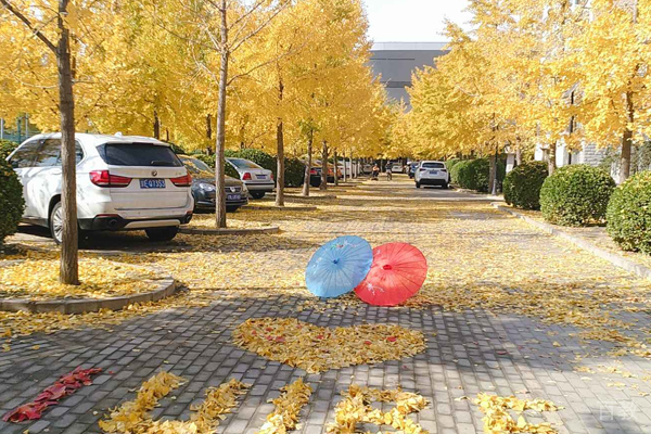北京对外经贸大学国际本科校园环境展示