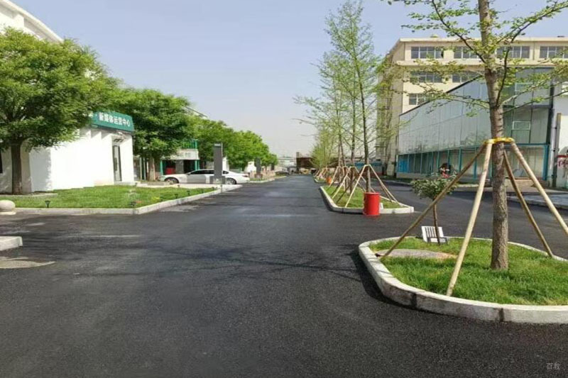 校园风景