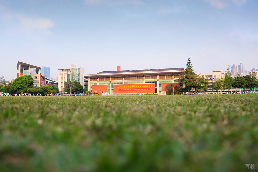学校草地环境相册