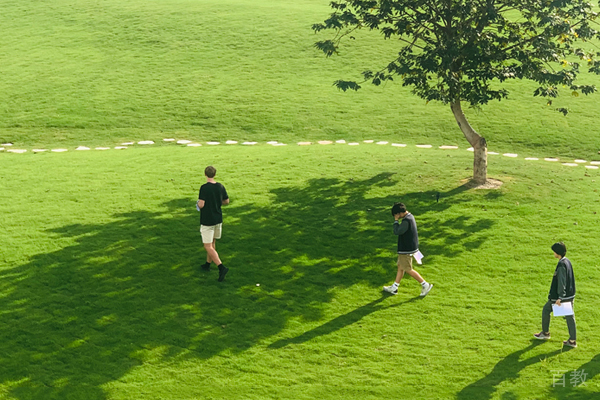 学校草坪环境展示