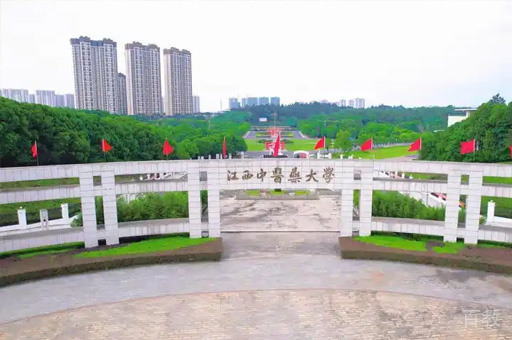 学校环境