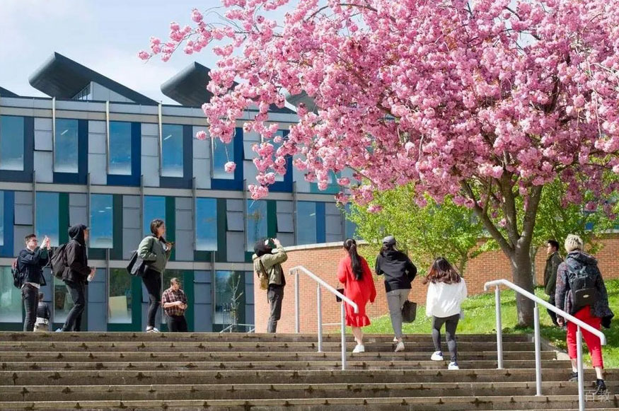 学校校园环境
