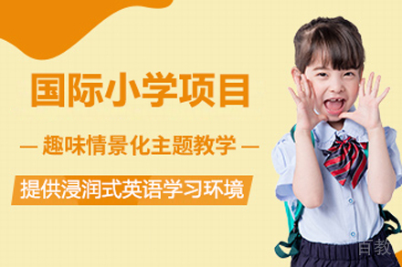 国际小学项目