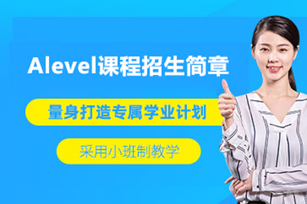 Alevel项目
