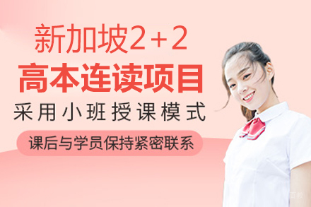 新加坡2+2高本连读项目