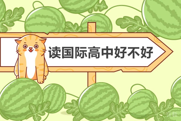 读国际高中好不好-读国际高中有什么好处 