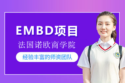 法国诺欧商学院EMBD项目