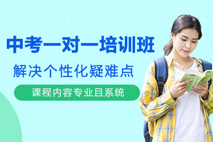 南京中考一对一培训班