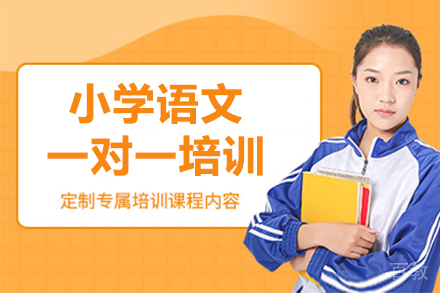 深圳小学语文一对一培训班