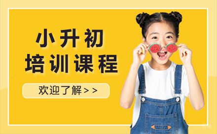 上海小升初课程