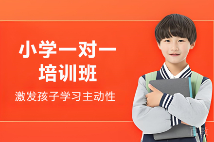 贵阳小学一对一培训班