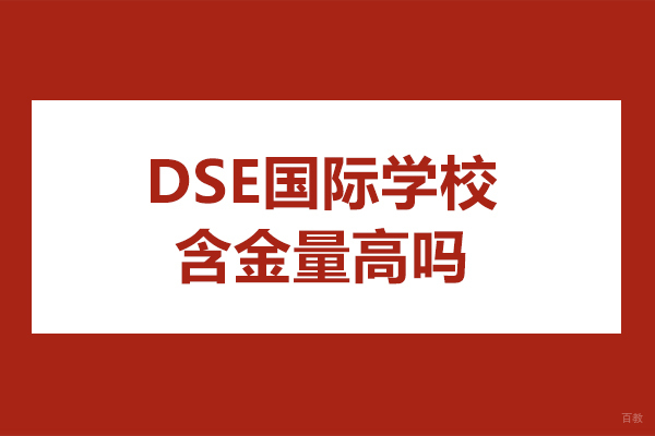 dse国际学校含金量高吗-dse国际学校含金量怎么样 