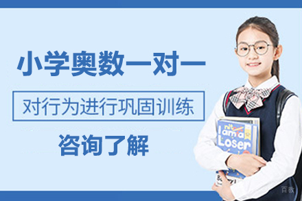 郑州小学奥数一对一培训班