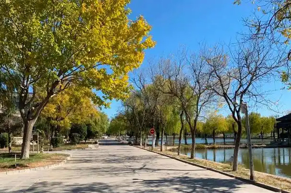 校园道路环境