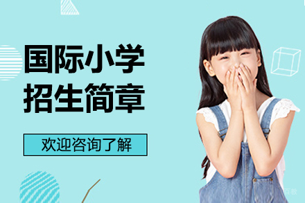 国际小学课程