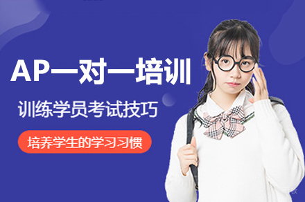 广州AP一对一培训课程