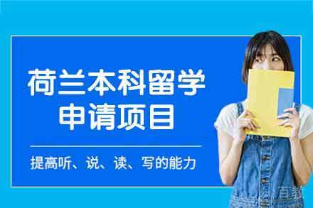 荷兰本科留学申请项目