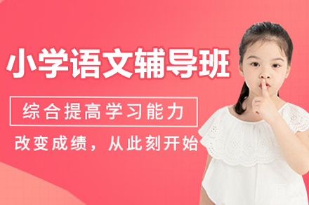 苏州小学语文培优课程特色解析