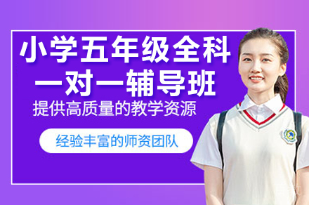 广州五年级全科提分指南：揭秘个性化一对一教学体系